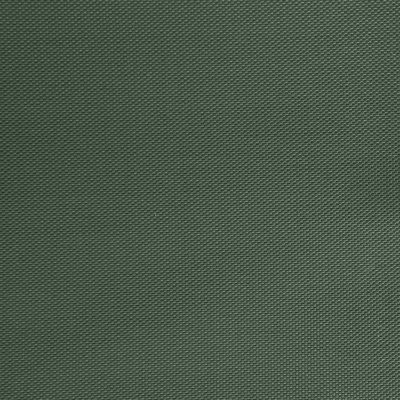Оксфорд (Oxford) 240D 19-5917, PU/WR, 115 гр/м2, шир.150см, цвет т.зелёный - купить в Ноябрьске. Цена 152.54 руб.