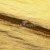 Текстильный материал "Диско"#1805 с покрытием РЕТ, 40гр/м2, 100% полиэстер, цв.5-золото - купить в Ноябрьске. Цена 412.36 руб.