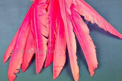 Декоративный Пучок из перьев, перо 25см/розовый - купить в Ноябрьске. Цена: 14.40 руб.