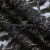 Кружевное полотно XD LACE 1-4, 80 гр/м2, шир.150см, цвет чёрный - купить в Ноябрьске. Цена 245.94 руб.