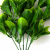 Трава искусственная -1, шт (эвкалипт лист 32 см/8 см)				 - купить в Ноябрьске. Цена: 169.93 руб.