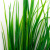 Трава искусственная -2, шт (осока 41см/8 см)				 - купить в Ноябрьске. Цена: 104.57 руб.
