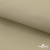Ткань подкладочная TWILL 230T 14-1108, беж светлый 100% полиэстер,66 г/м2, шир.150 cм - купить в Ноябрьске. Цена 90.59 руб.