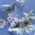 Плательная ткань "Фламенко" 12.1, 80 гр/м2, шир.150 см, принт растительный - купить в Ноябрьске. Цена 243.96 руб.