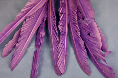 Декоративный Пучок из перьев, перо 25см/фиолетовый - купить в Ноябрьске. Цена: 12.19 руб.