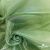 Ткань органза, 100% полиэстр, 28г/м2, шир. 150 см, цв. #27 зеленый - купить в Ноябрьске. Цена 86.24 руб.