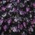 Плательная ткань "Фламенко" 20.1, 80 гр/м2, шир.150 см, принт растительный - купить в Ноябрьске. Цена 241.49 руб.