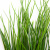 Трава искусственная -4, шт  (осока 50 см/8 см  7 листов)				 - купить в Ноябрьске. Цена: 130.73 руб.