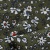 Плательная ткань "Фламенко" 11.2, 80 гр/м2, шир.150 см, принт растительный - купить в Ноябрьске. Цена 259.21 руб.
