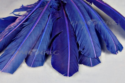 Декоративный Пучок из перьев, перо 23см/синий - купить в Ноябрьске. Цена: 12.34 руб.